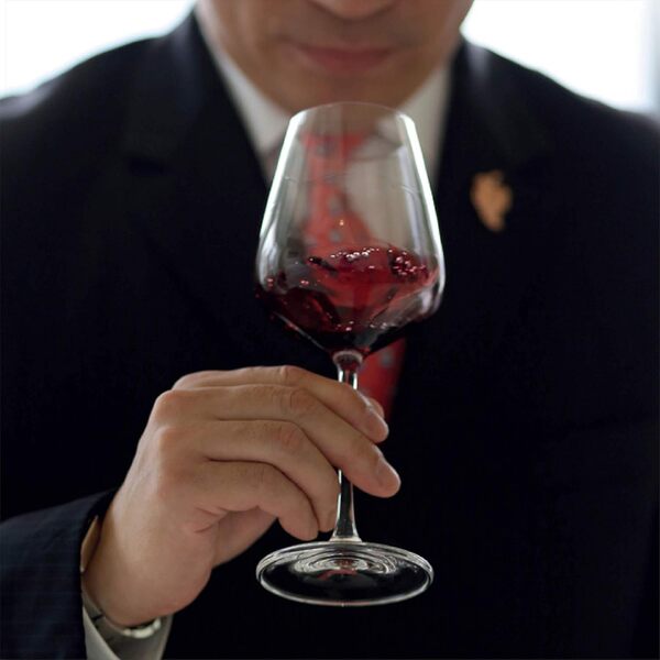 Lucaris - Desire Universal Verres à vin 420 ml