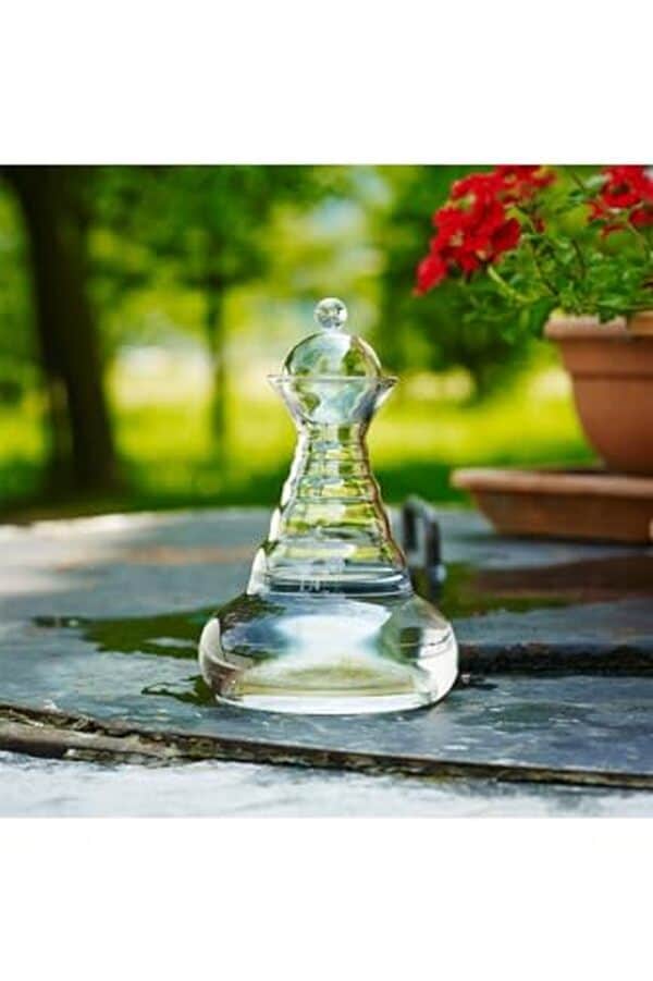 Découvrez notre avis détaillé sur la carafe Natures Design Golden All Adin et les verres Mythos : design, bienfaits et utilisation pour sublimer votre quotidien