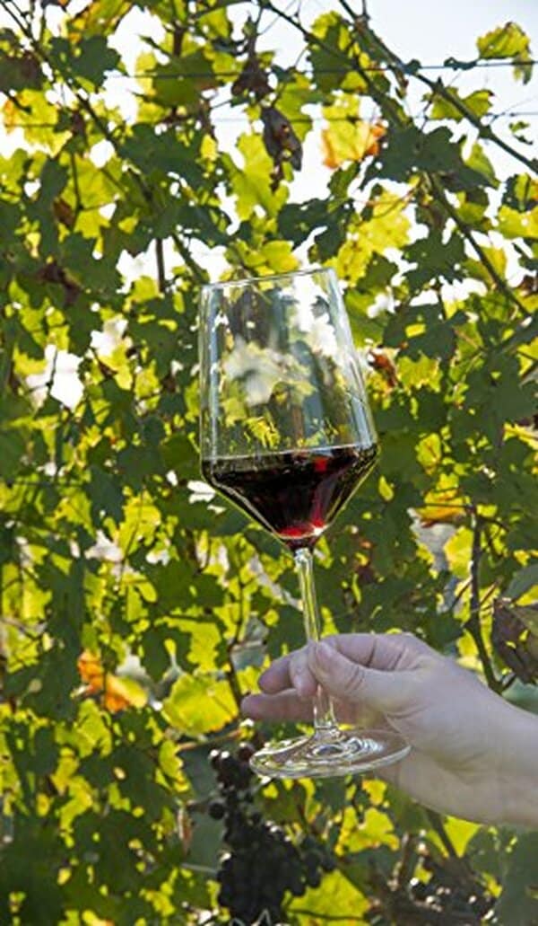 Découvrez notre analyse sur le lot de 4 verres en cristal Tritan de Schott Zwiesel : design, durabilité et qualité pour des moments inoubliables