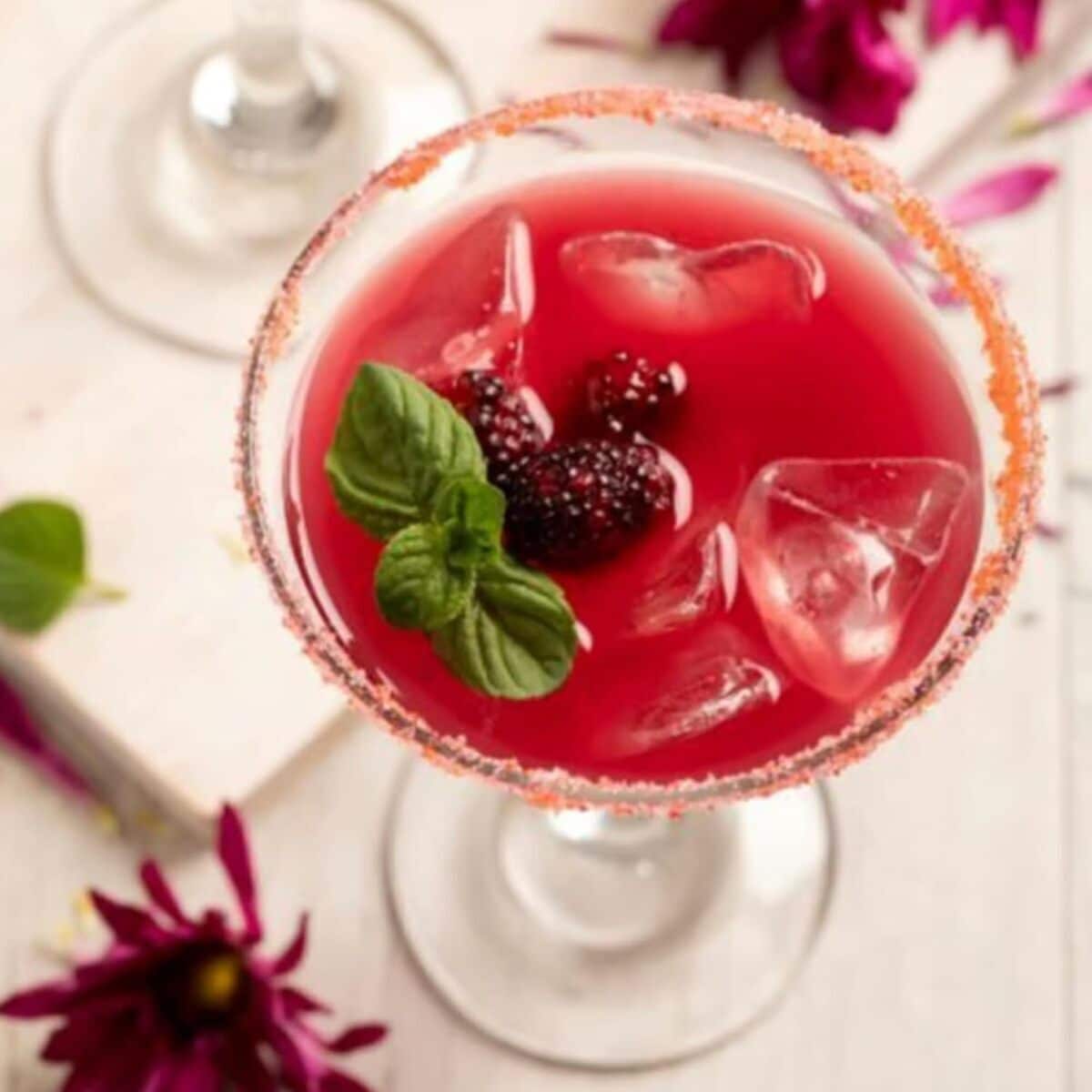 Avis : verres à martini Cristar en verre trempé