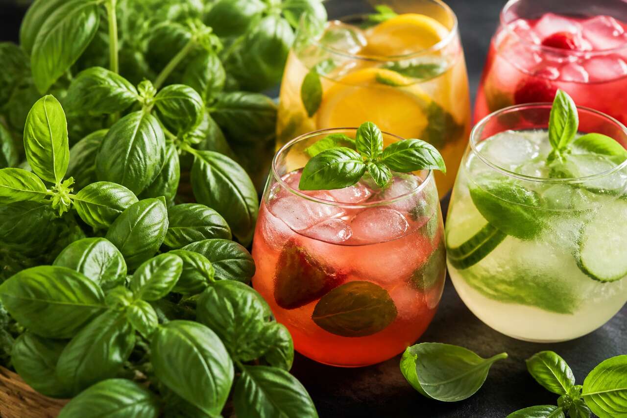 Pourquoi le basilic est devenu un ingrédient phare des cocktails Pourquoi le basilic est devenu un ingrédient phare des cocktails